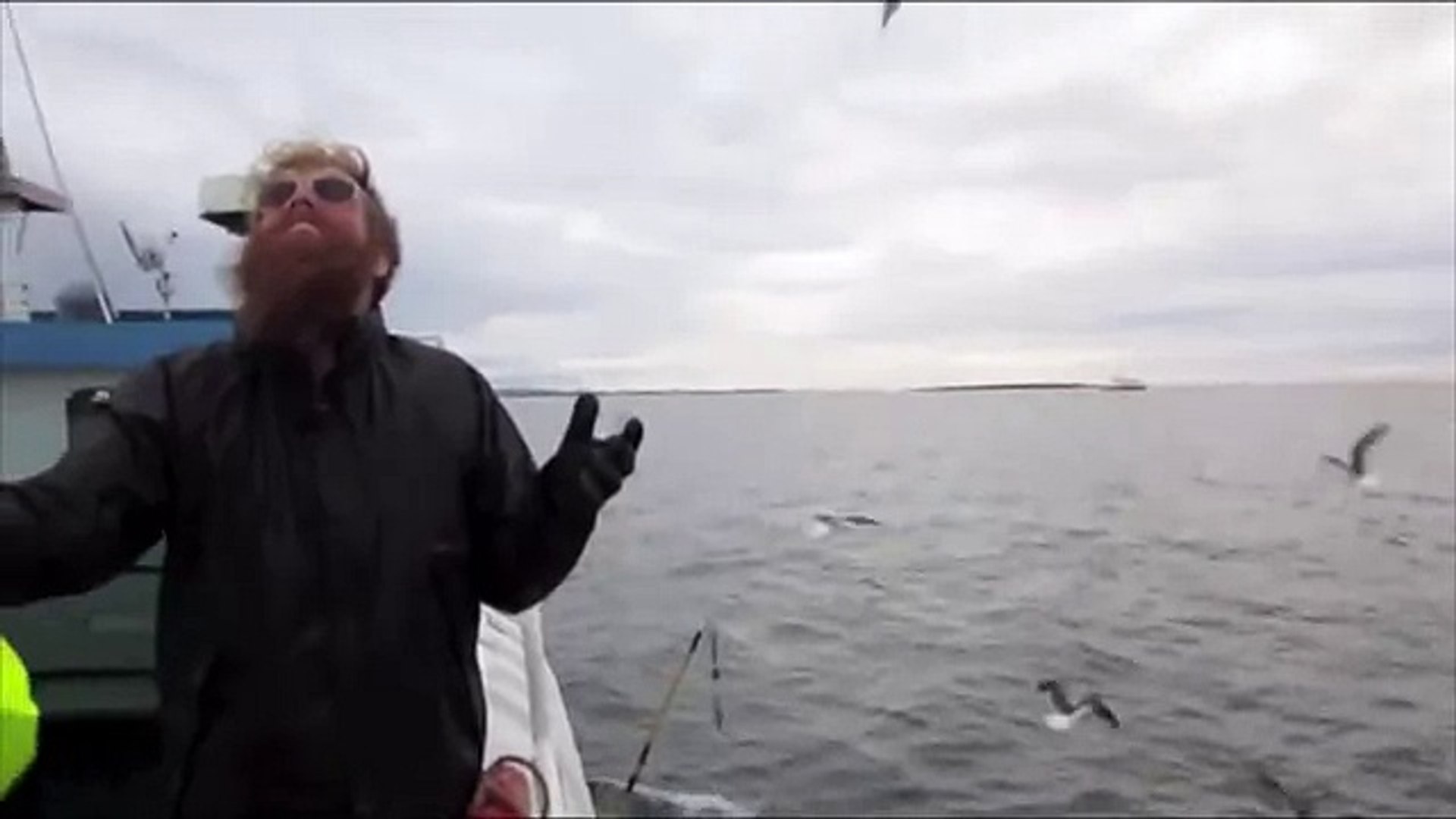 ⁣Dude catches bird in the AIR - YDL