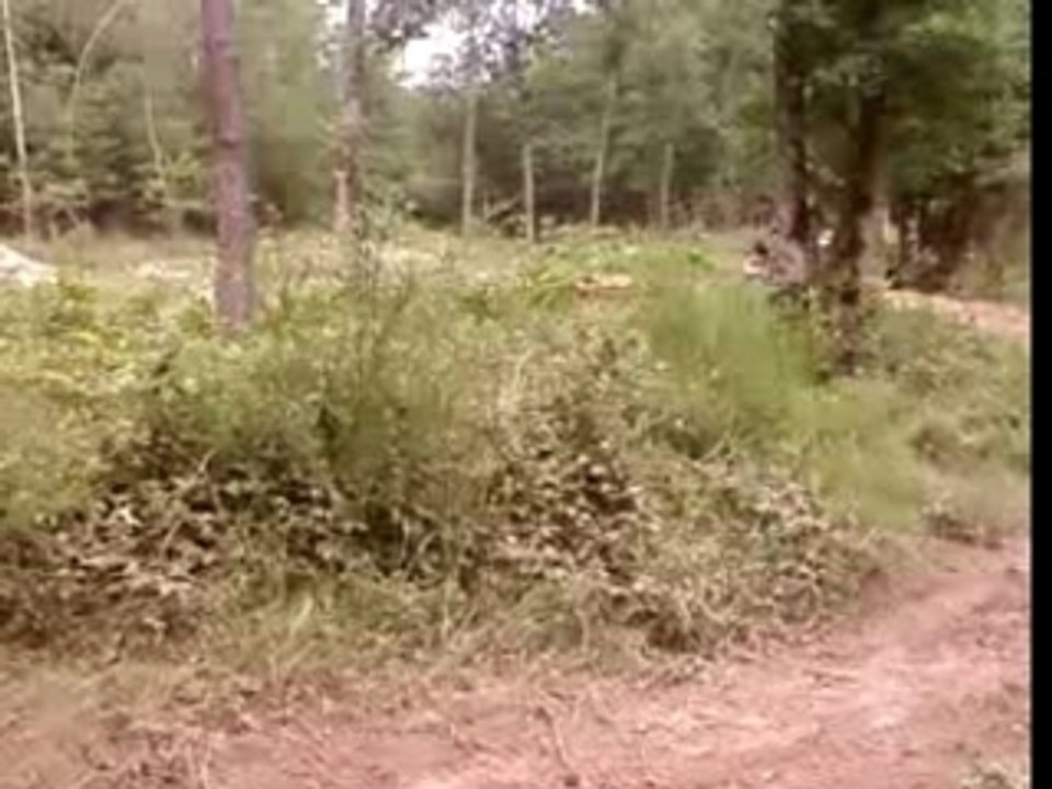 motocross4