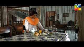 Aabro Episode 11 Full HD 28 February