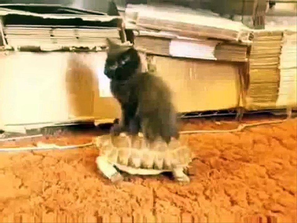 They See Me Rollin' (Original)