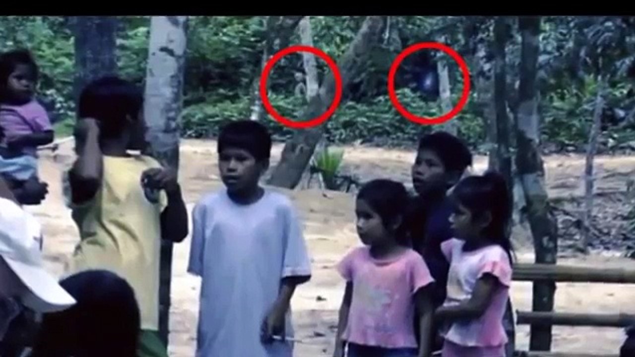Alien caught on film in Brazil rainforest