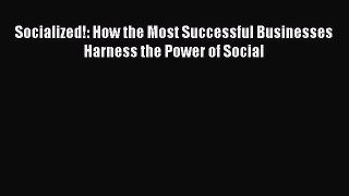PDF Socialized!: How the Most Successful Businesses Harness the Power of Social  EBook