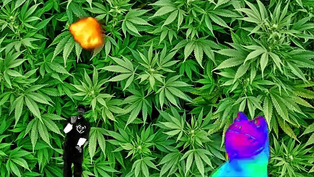 Мама сшила мне штаны из березовой коры (клип)