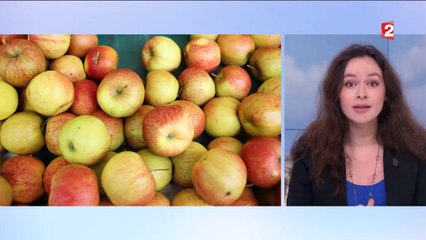 Consommation : pourquoi faut-il manger des fruits et légumes ?