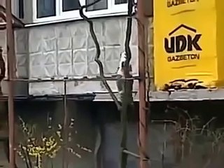 Необычный способ доставки котенка домой!