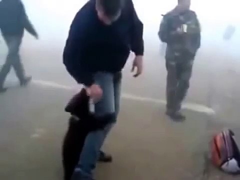 Медвежонок играет с человеком!