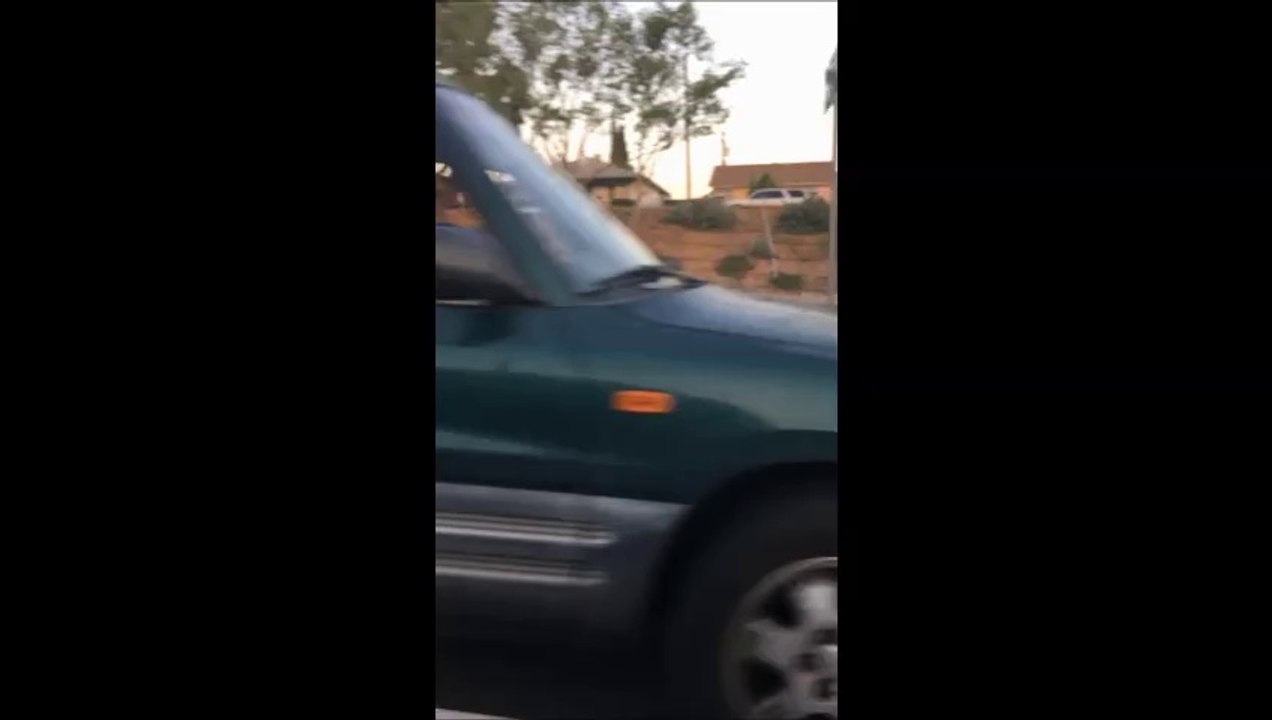 Road Rage Cat & Mouse