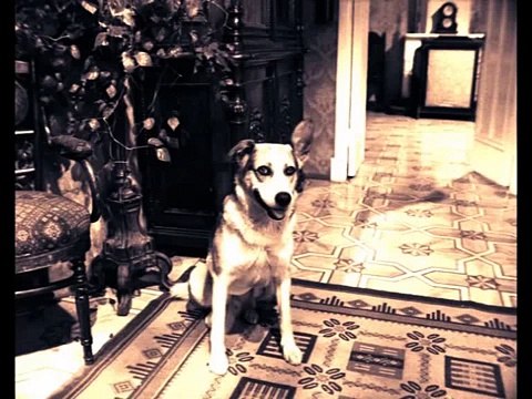 Снимайте штаны