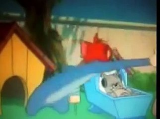 Phim hoạt hình, mèo và chuột, tom and jerry 1