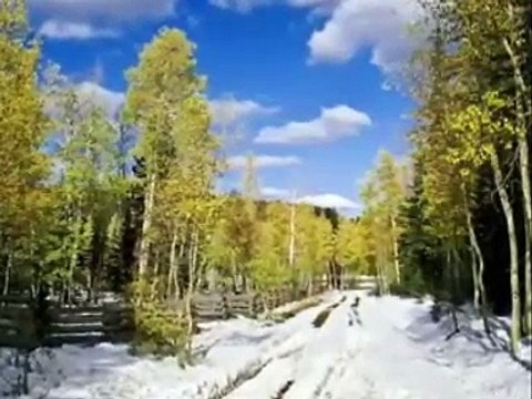 Bugs Bunny feat Dj Włóczi (W&W duet.wmv)