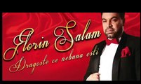 Florin Salam - Dragoste ce nebuna esti [oficial audio] hit