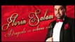 Florin Salam - Dragoste ce nebuna esti [oficial audio] hit
