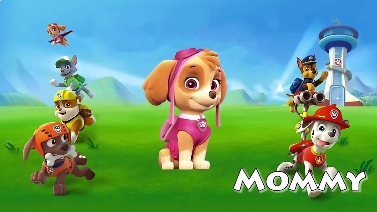 Paw Patrol Daddy Finger ✦ Finger Family ✦ Funny Animation Nursery Rhymes & Songs for Child