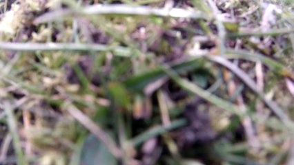 Dji Phantom 2 With Gopro3 and ImmersionRc Fpv in Derbyshire