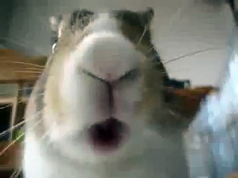 Няшка ест! Через 5 секунд ты улыбнешься =