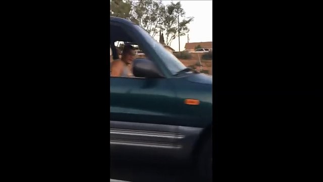 Un road rage en mode chat et souris !