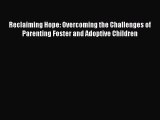 Read Reclaiming Hope: Overcoming the Challenges of Parenting Foster and Adoptive Children Ebook