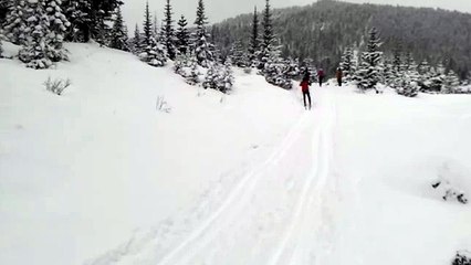 тренировки лыжников на первом снегу, лыжные гонки, Байкал, Хамар - Дабан
