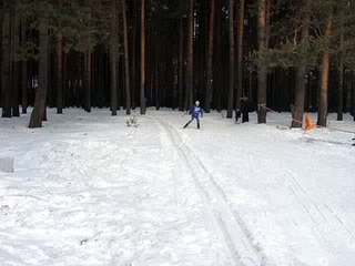 Финиш лыжной гонки