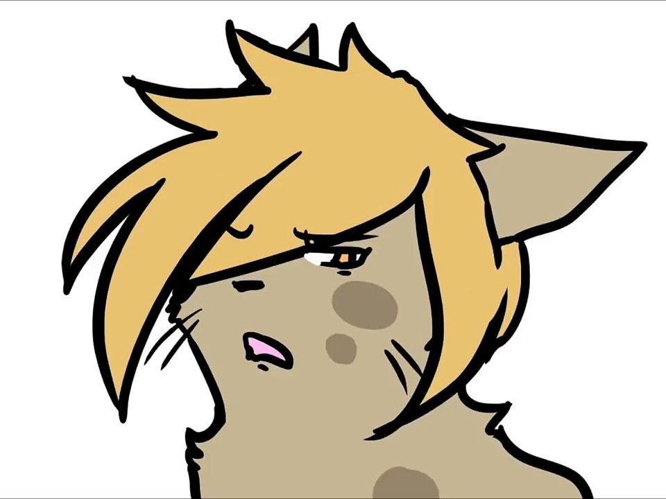 Leopardstar Shakes It