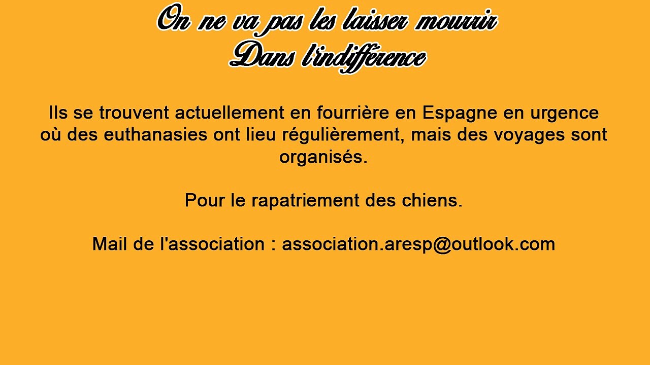 Urgence Euthanasie