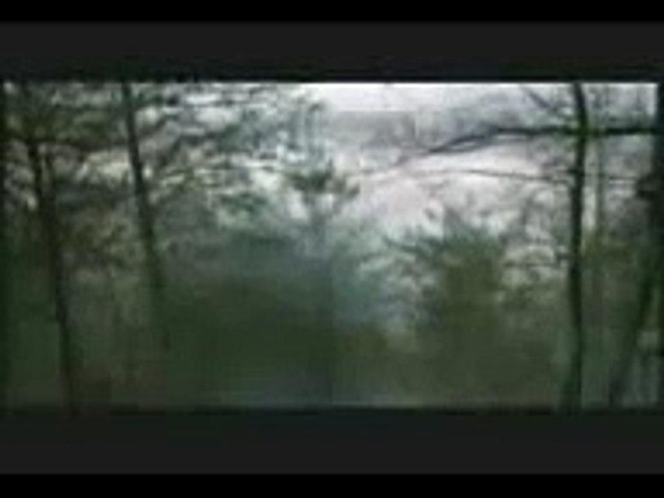 Silence of the Lambs in 5 seconds