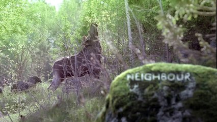 The New Saab 9-5 TV Ad -- Anything but ordinary