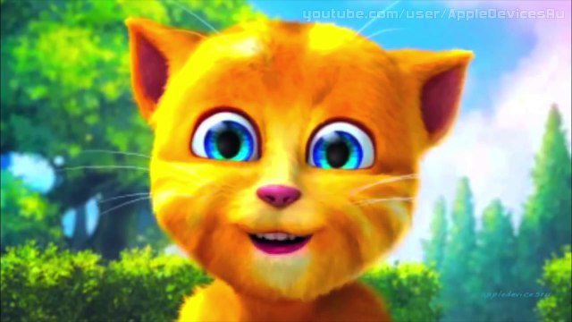 Прикол - смешной и прикольный кот Рыжик