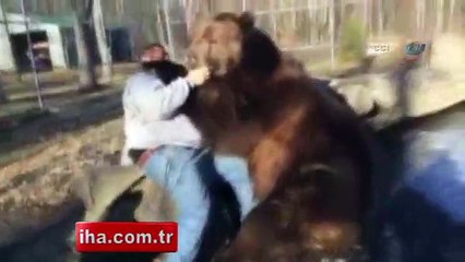 Dev ayı ile bakıcısının inanılmaz dostluğu