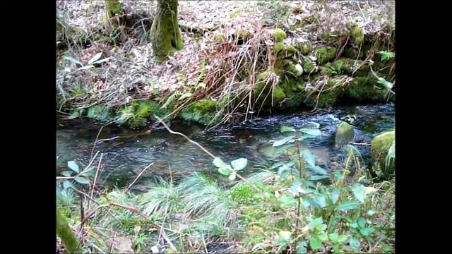 Pontellón de A Laxe, Vilas Sanisidro, Pobra do Caramiñal