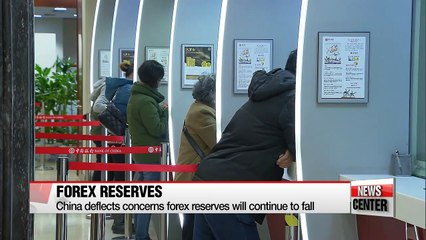 China's central bank says forex fall will slow