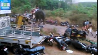INDIA Elephant gone WILD 2016 - Horrific & Scary !!