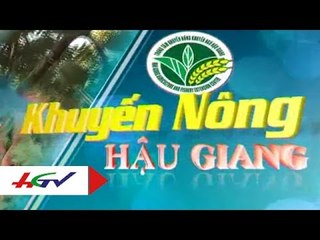 Hiệu quả hoạt động của cán bộ khuyến nông tại xã | HGTV