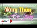 Thành tựu nông nghiệp 5 năm tỉnh Hậu Giang | HGTV