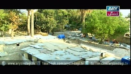 Mehmoodabad Ki Malkain Ep - 19 - 28th February 2016