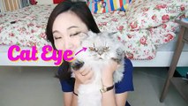 【Hello Catie 】Cat Eye Makeup Tutorial 假眼頭全框式貓眼妝眼線教學