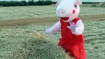 Peppa Pig in reallife play in the farm - Peppa Pig juegos en el jardin english español