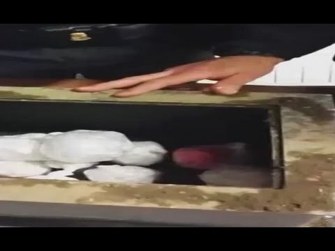 Napoli - Droga in cassaforte, arrestato pusher a Scampia (29.02.16)