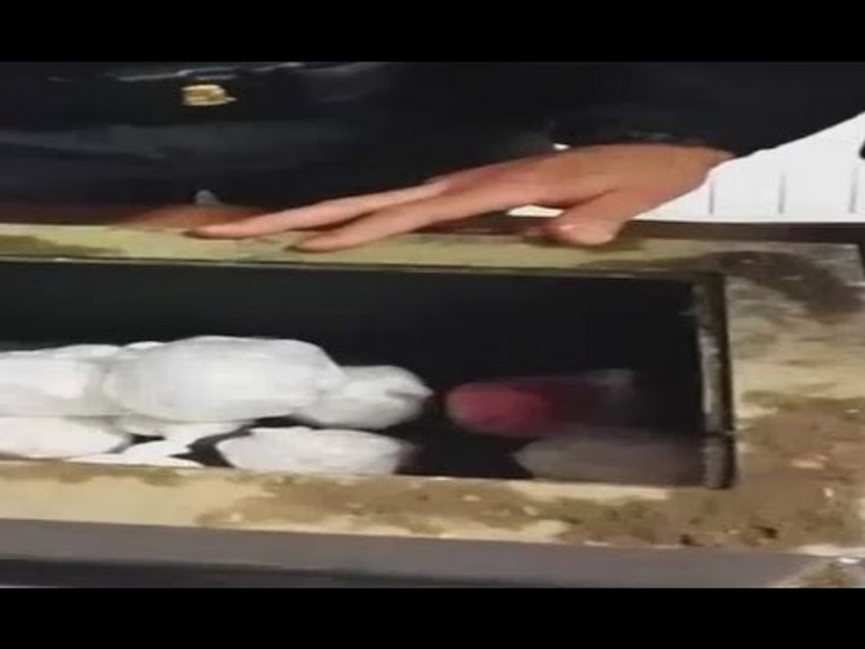 Napoli - Droga in cassaforte, arrestato pusher a Scampia (29.02.16)