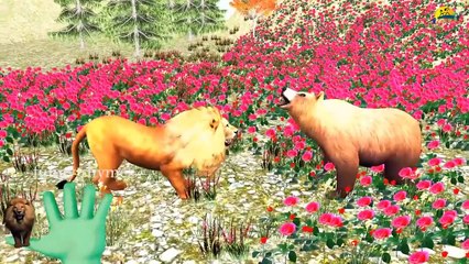 BearV_S Tiger Finger Family Nursery Children 3d English Rhymes _ Animated Finger kids songs