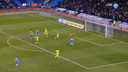 Cooper L. Own Goal HD -  Brighton  2-0 Leeds  29.02.2016