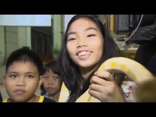 Pets receive blessing  for Feast of St. Francis