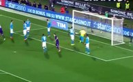 Marcos Alonso goal - Fiorentina vs SSC Napoli 1-1 [29_02_2016]