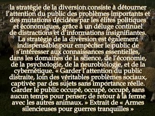 HUMANITÉ EN DANGER - Les 10 stratégies de manipulation des masses ?