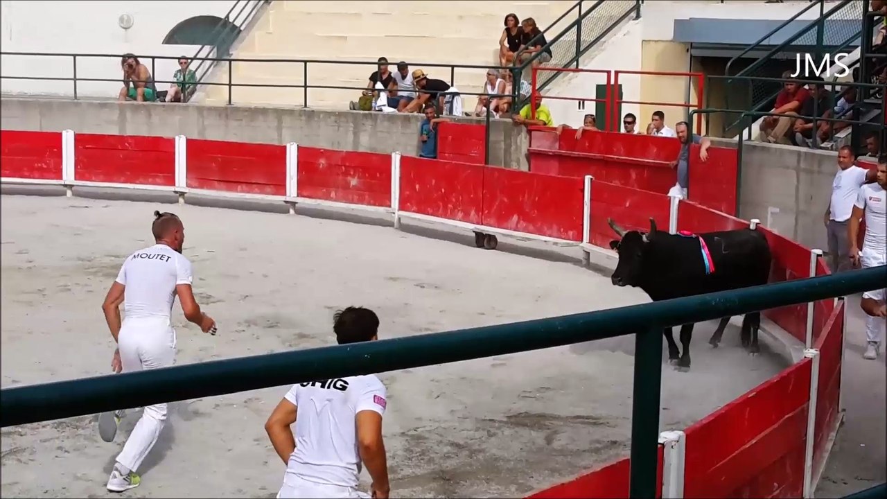 Milhaud-Course camarguaise-Taureaux piscine-01 AOUT 2015