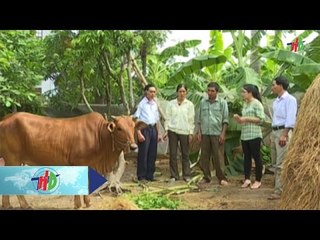 Người phụ nữ "gồng gánh" nuôi mẹ già con thơ | HDTV