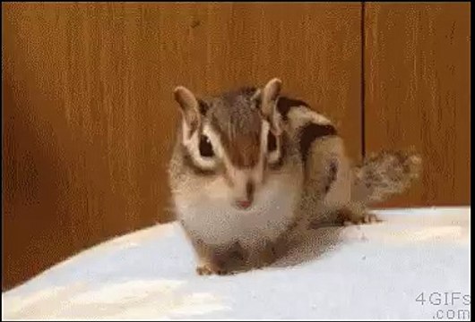 Поел теперь можно и поспать