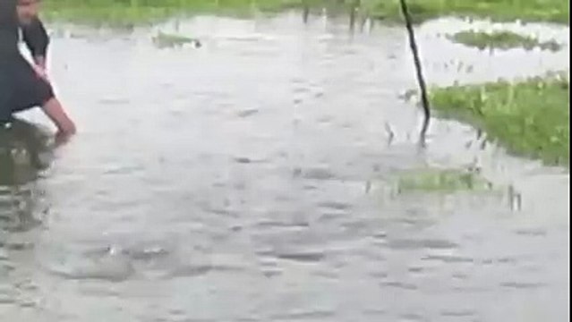 Видео шокирующее всех Рыбаков! Что он ловит это Жесть Удачно сходили на рыбалку