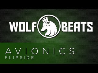 Avionics - Flipside