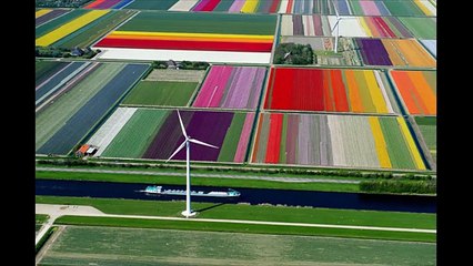 TOP INCREDIBLE VIEWS YOU’D SEE IF YOU WERE A BIRD